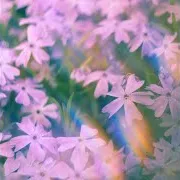 Peace Of Mind Ft Liam Thomas
