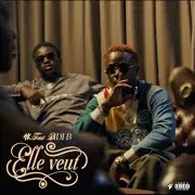 Elle Veut (Feat. Didi B)